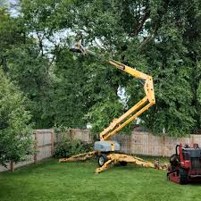 Best Sod Installation  in Turtle Creek, PA